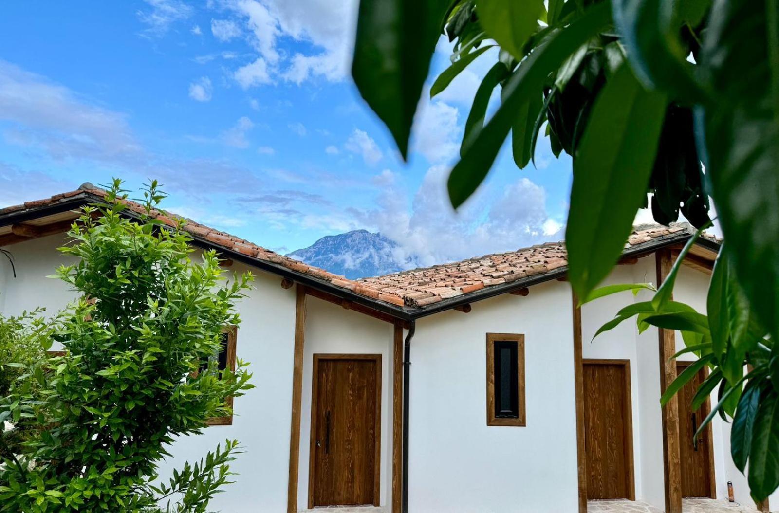 Alpeta Agrotourism & Winery - Roshnik , Berat