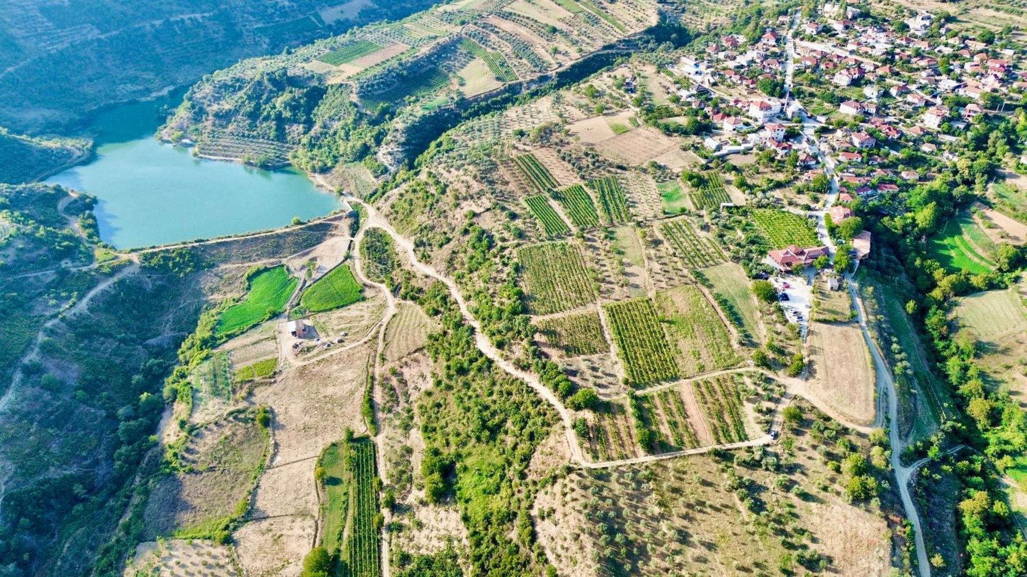 Alpeta Agrotourism & Winery - Roshnik ,