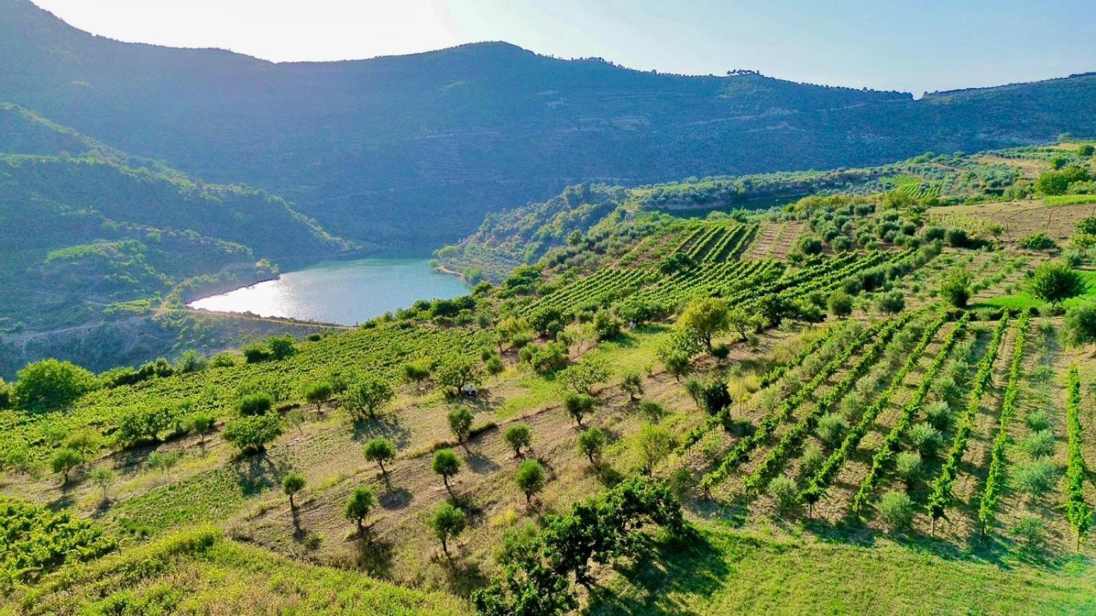 Gjestgiverier Alpeta Agrotourism & Winery - Roshnik ,