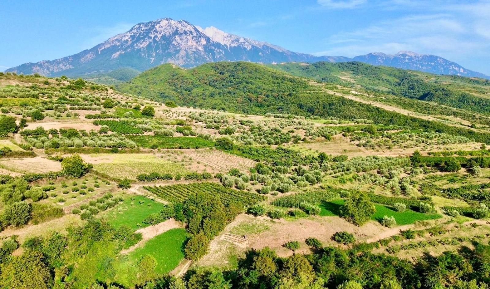 Alpeta Agrotourism & Winery - Roshnik ,